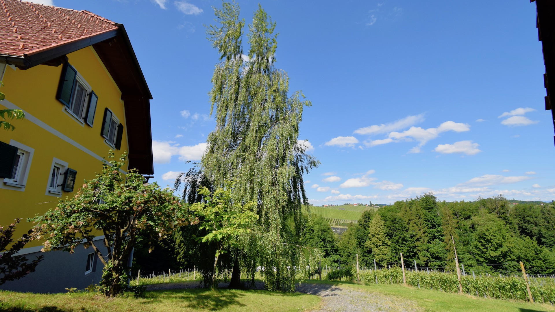 bz-immobilien